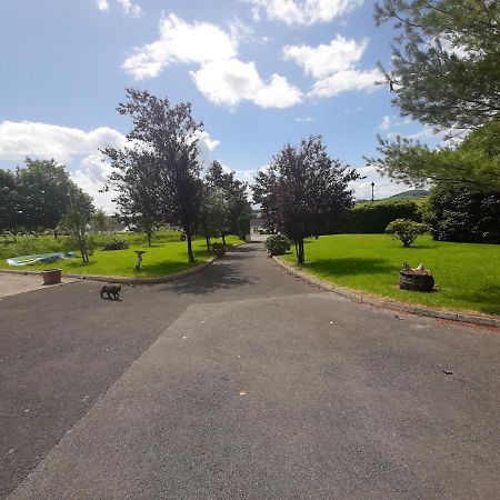 The Laurels Villa Waterford Buitenkant foto